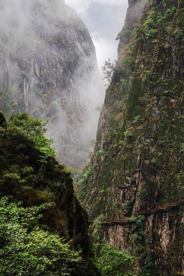 除了地球,太阳系里哪个星球有水- 专业有问必答平台